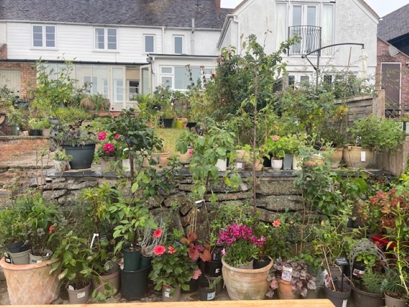 Wyre Piddle Village Gardens